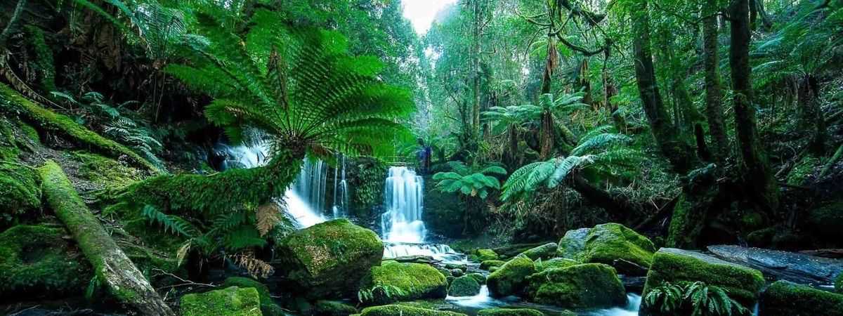 Viagem da Huesa à Tasmânia - de 14 a 19 de Abril 2019 - Huesa - blog cover 15